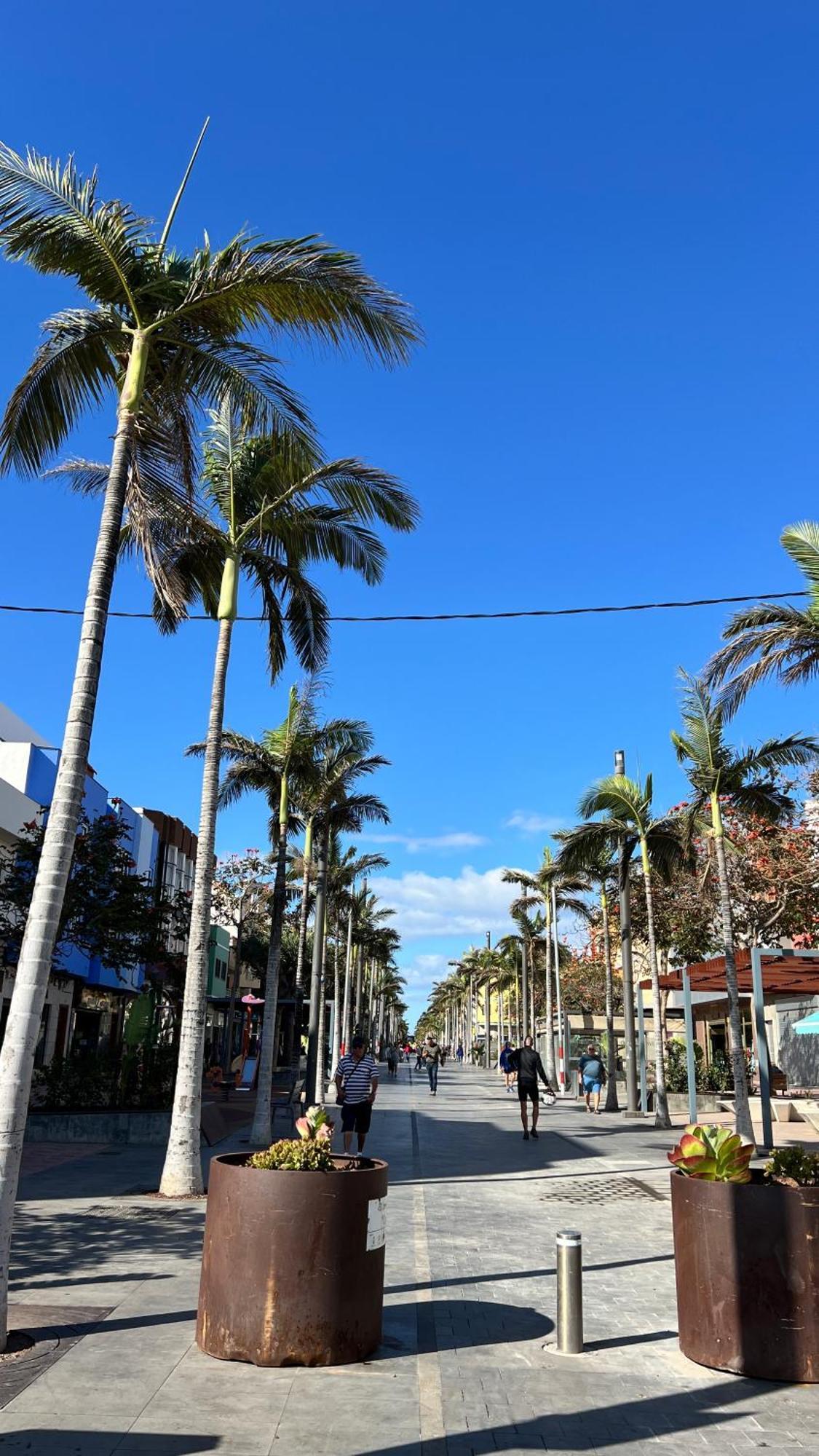 Mirame Canarias เบซินดาริโอ ภายนอก รูปภาพ
