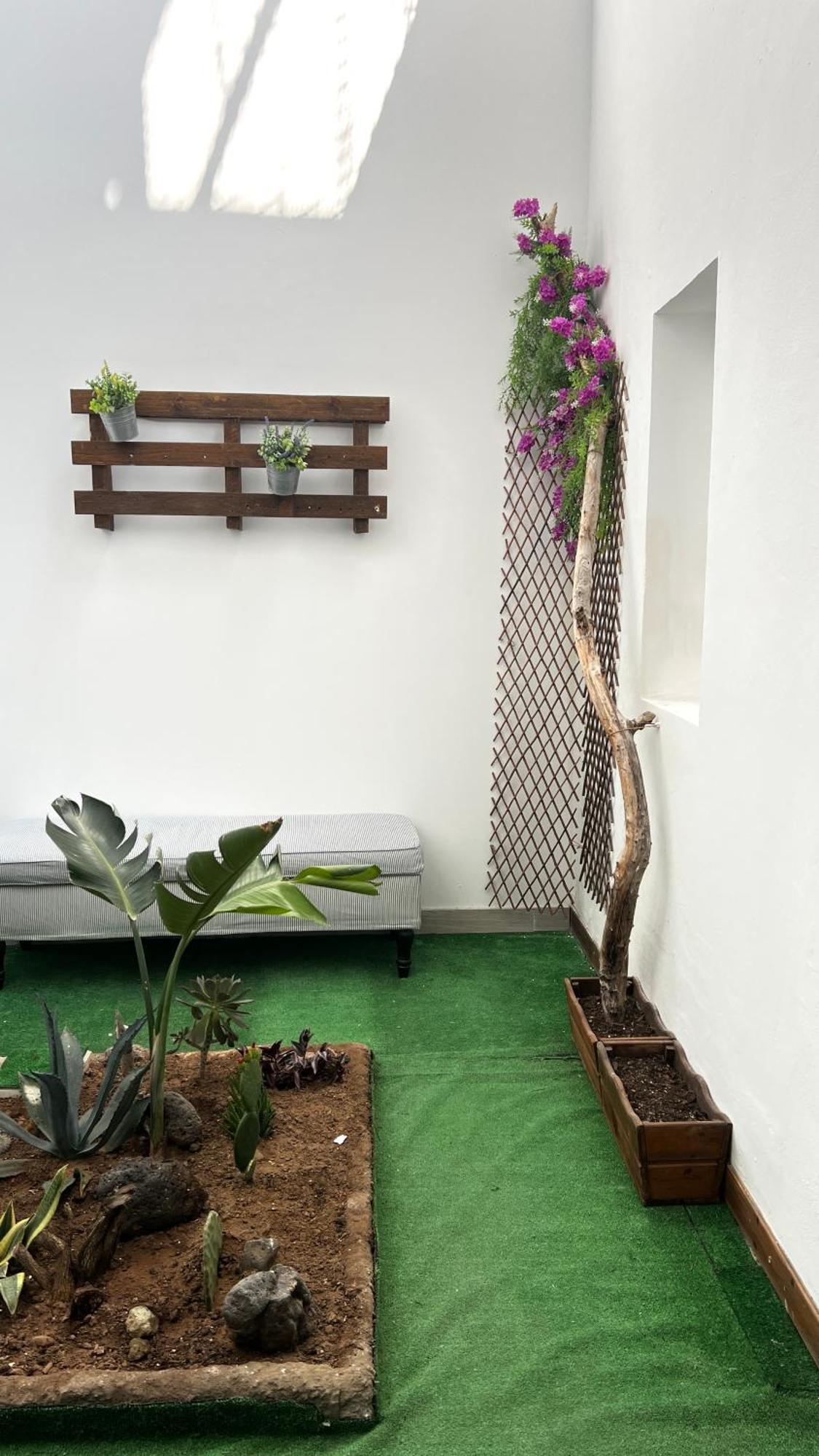 Mirame Canarias เบซินดาริโอ ภายนอก รูปภาพ